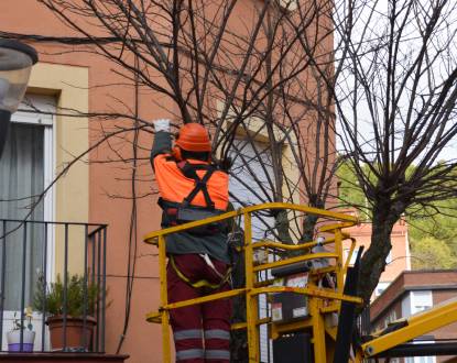 TREE TRIMMING